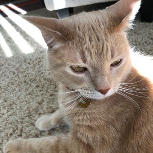 Meet your Posher, Meghan